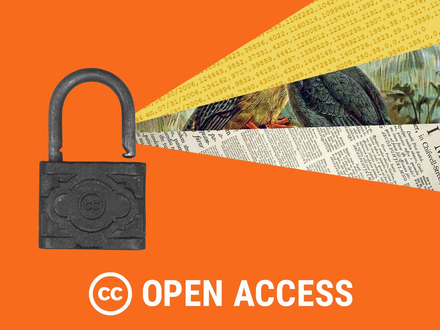 CC Open Access lock image